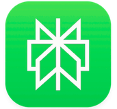 Logotipo perplexity